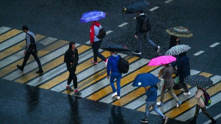 Москвичей предупредили о сильном дожде до конца субботы - «Новости»