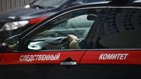 В Барнауле задержали двоих предпринимателей после ЧП с детьми на батуте - «Новости»