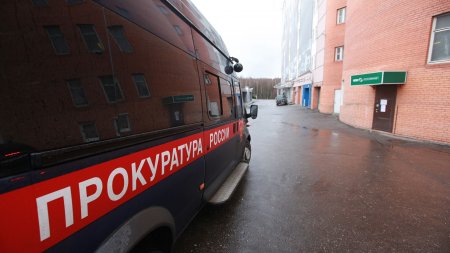 Жителя Омской области заподозрили в насилии над соседскими детьми - «Новости»