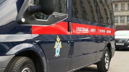 Бастрыкин дал поручения по инциденту с "дедовщиной" в детсаду в Краснодаре - «Новости»