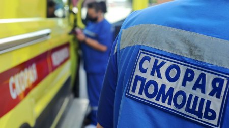 В Крыму пять человек пострадали из-за падения деревьев - «Новости»