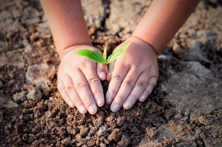 Зачем нужно экологическое воспитание - « Как воспитывать ребенка»