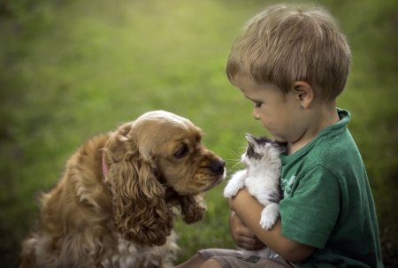 Роль домашних животных в воспитании эмпатии - « Как воспитывать ребенка»