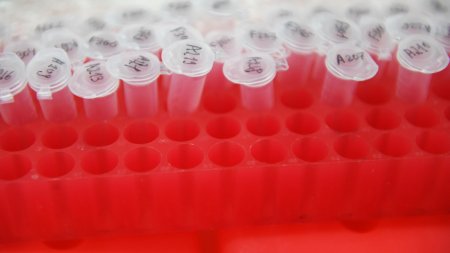 В КФУ повысили точность проверки действия лекарств на раковые клетки - «Новости»