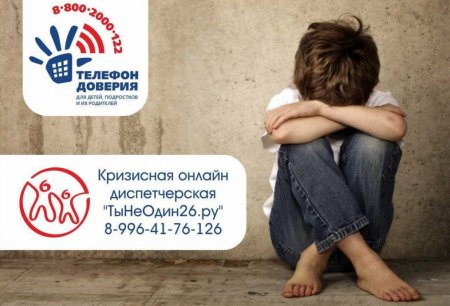 В Ставрополе начала работать кризисная онлайн-диспетчерская для подростков и их родителей - «Кузюшка»