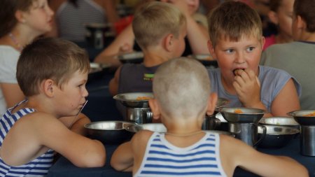 В Приморье закрыли дело о массовом отравлении детей в лагере - «Новости»