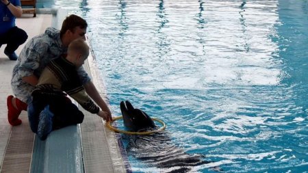 Сибирский полпред помог мальчику из Минусинска увидеть дельфинов - «Новости»