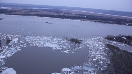 Уровень воды в реке Томь в районе Томска приближается к опасной отметке - «Новости»