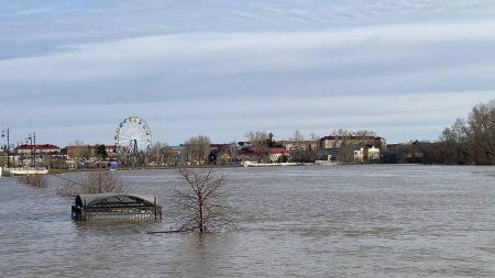 Уровень воды в реке у тюменского города Ишим поднялся на восемь сантиметров - «Новости»